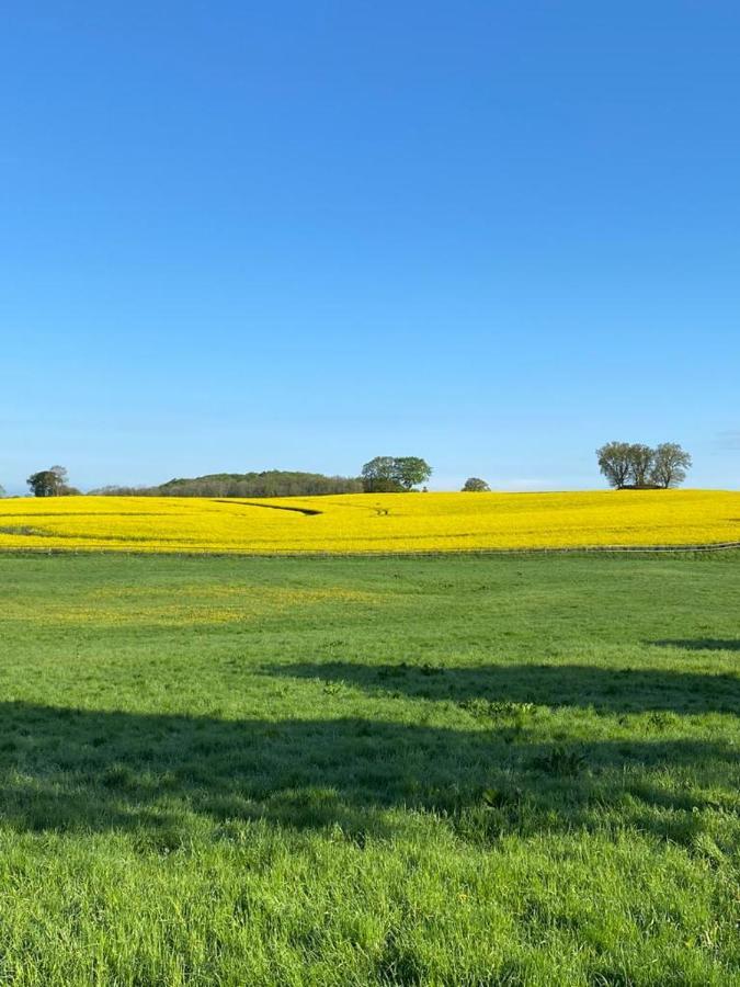 Schmuckstueck In Ostseenaehe *