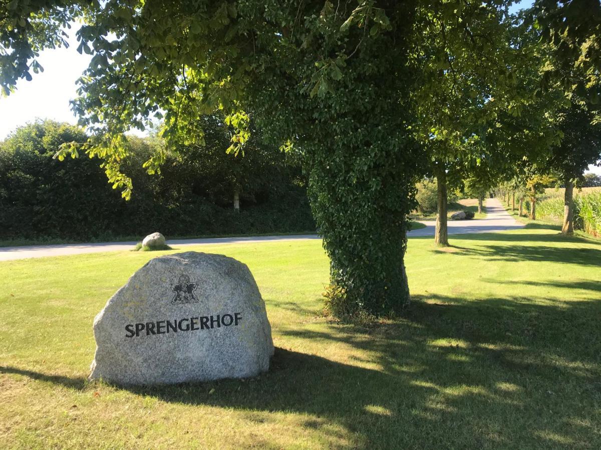 Schmuckstueck In Ostseenaehe