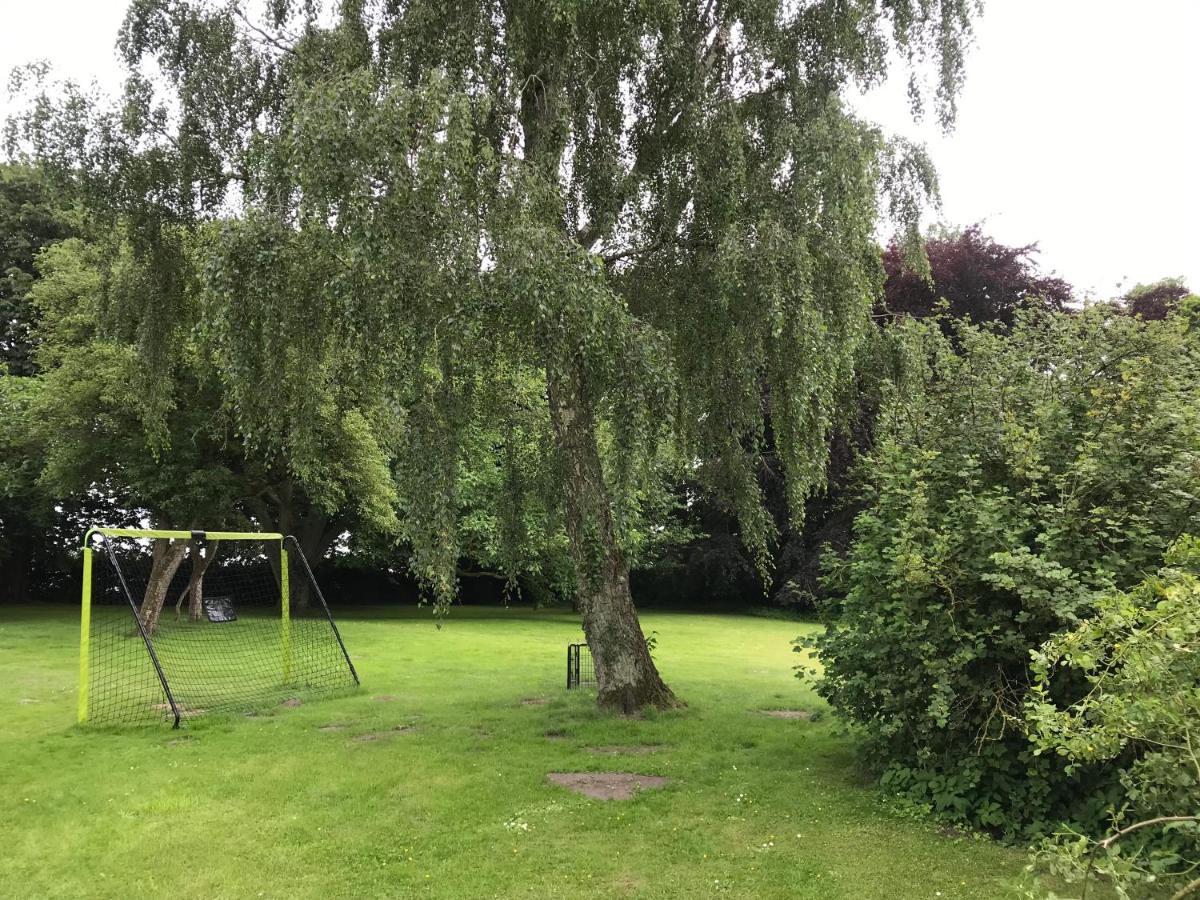 Schmuckstueck In Ostseenaehe Appartement